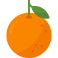 sliced orange icon